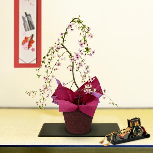 �x�m�}�����