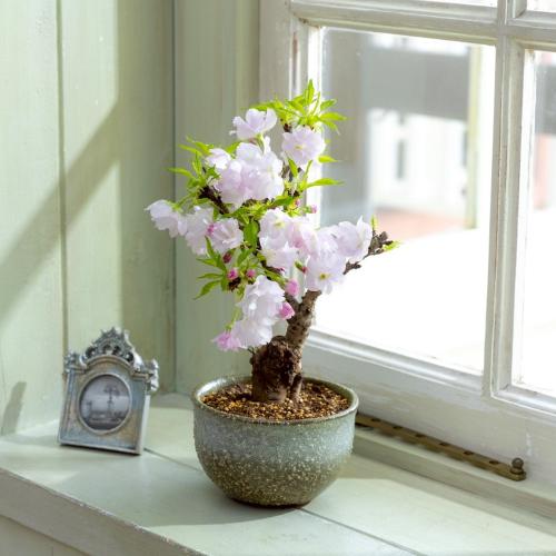 �~�j���~�́u���R�v