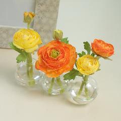 ���i���L�����X�C�G���[�i�P�[�X���X���[���j�y�A�[�e�B�t�B�V�����t�����[�z