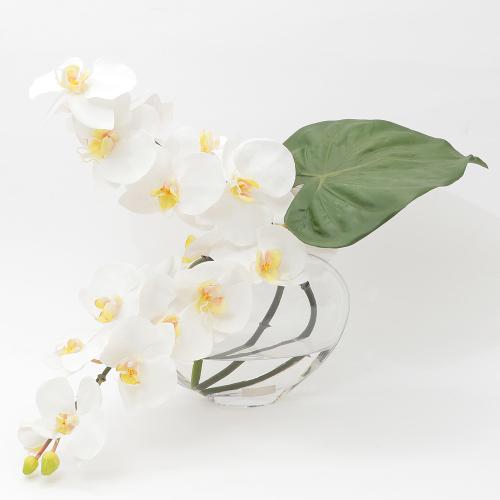 t@mvVXvVXiӒjyA[eBtBVt[z2