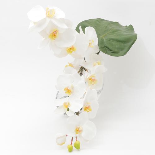 t@mvVXvVXiӒjyA[eBtBVt[z3