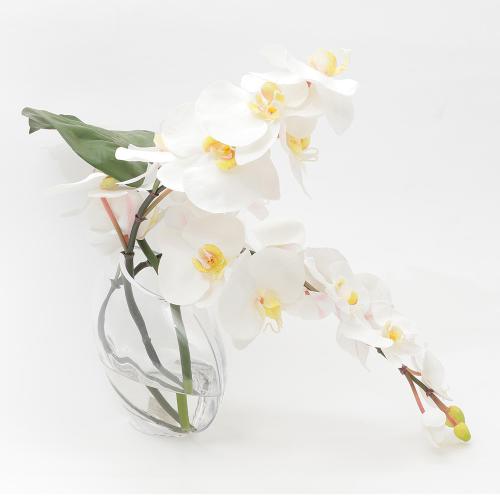 t@mvVXvVXiӒjyA[eBtBVt[z4