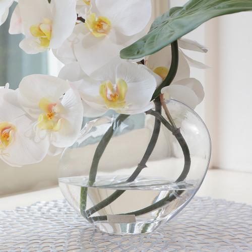 t@mvVXvVXiӒjyA[eBtBVt[z5