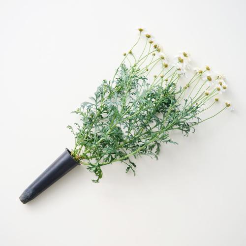 �yGW���͂��z�}�[�K���b�g�̉ԕc�u�[�P�@�C�G���[�n�i�Q���j4