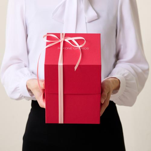 �y��̓��M�t�g�z�A���ւ��ė��N���y���߂�_�������@�}�[�K���b�g Pink Box2