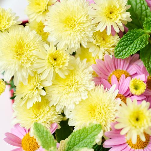 �y��̓��M�t�g�z�A���ւ��ė��N���y���߂�_�������@�}�[�K���b�g Pink Box5