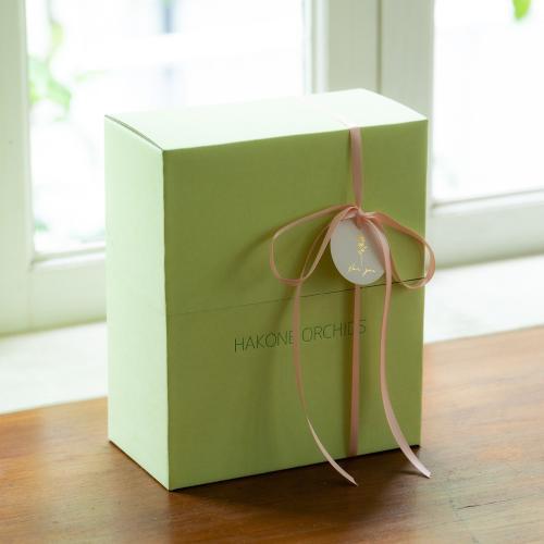 �y�x��Ă��߂�ˁI��̓��M�t�g�z�}�[�K���b�gHakonae mini �s���N BOX�M�t�g2