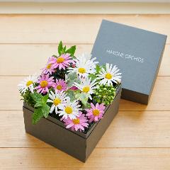 �y�x��Ă��߂�ˁI��̓��M�t�g�z�A���ւ��ė��N���y���߂�}�[�K���b�g BOX�M�t�gM�T�C�Y