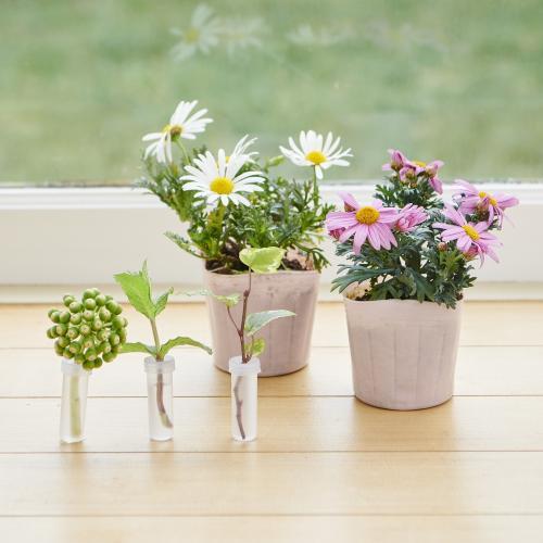 �yGW���͂��z�}�[�K���b�g�a�n�w�iM�j�s���N3