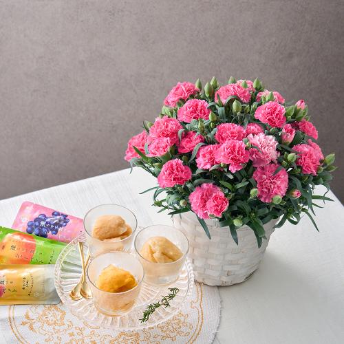 �z�V�t���[�c�@�t���[�c�p�[���[�̓��点�ĐH�ׂ�V���[�x�b�g�ʉʂ�����&�J�[�l�[�V�����u�z�b�g�n�[�g�v���A���y��̓��M�t�g�z