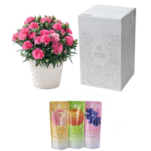 �z�V�t���[�c�@�t���[�c�p�[���[�̓��点�ĐH�ׂ�V���[�x�b�g�ʉʂ�����&�J�[�l�[�V�����u�z�b�g�n�[�g�v���A���y��̓��M�t�g�z4