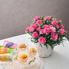 �z�V�t���[�c�@�t���[�c�p�[���[�̓��点�ĐH�ׂ�V���[�x�b�g�ʉʂ�����&�J�[�l�[�V�����u�z�b�g�n�[�g�v���A���y��̓��M�t�g�z