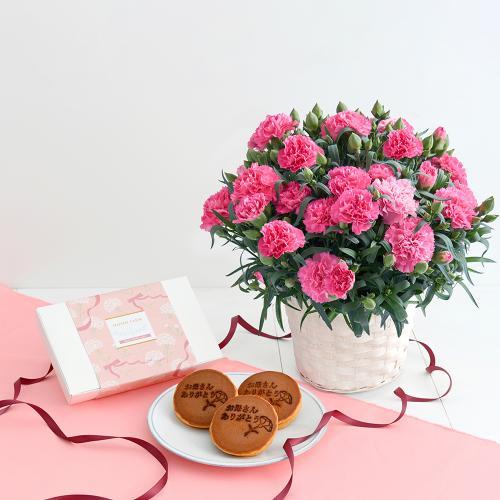 �y�x��Ă��߂�ˁI��̓��M�t�g�z�Ȃ�Ƌ����̂ǂ�Ă�&�z�V�t�@�[���̃J�[�l�[�V�����u�z�b�g�n�[�g�v���A��