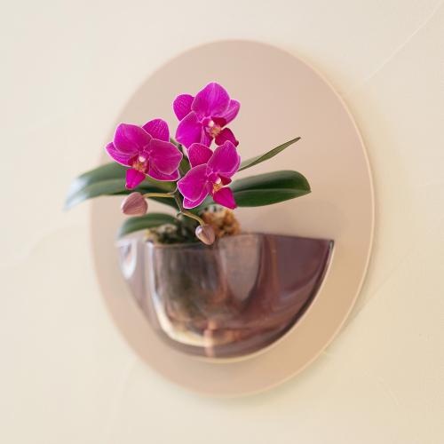 �y��̓��M�t�g�zrant HALO�i�����g�@�n���j �Ӓ��� �s���N�n