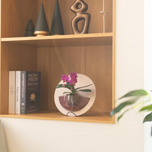 �y��̓��M�t�g�zrant HALO�i�����g�@�n���j �Ӓ��� �s���N�n2