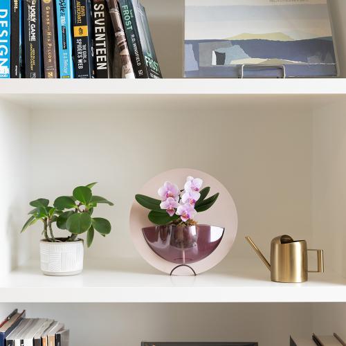 �y��̓��M�t�g�zrant HALO�i�����g�@�n���j �Ӓ��� �s���N�n5