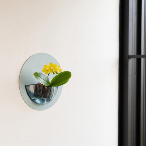 �y��̓��M�t�g�zrant HALO�i�����g�@�n���j �Ӓ��� �C�G���[�n2