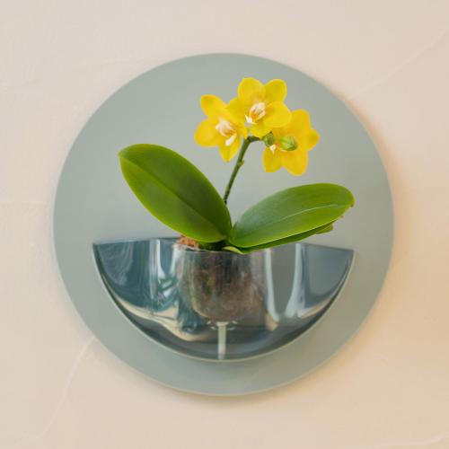 �yEarly summer gift�zrant HALO�i�����g�@�n���j �Ӓ��� �C�G���[�n