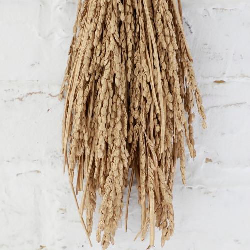 �v���U�[�u�h���H�̃S�[���h������4