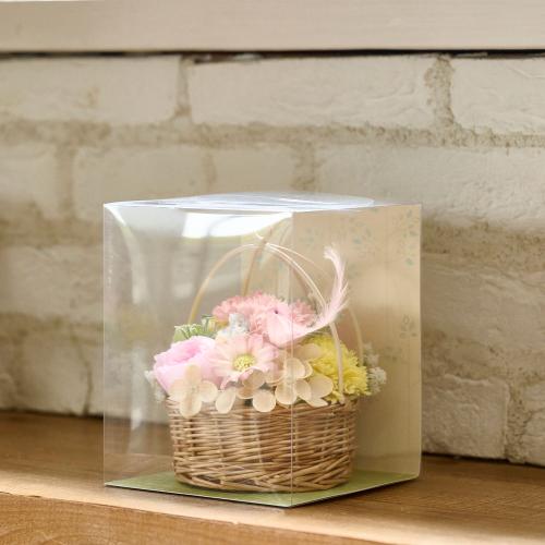 �\�[�v�t�����[�u�o�[�h�n�~���O�A�����W�s���N�n�v�y��̓��M�t�g�z5