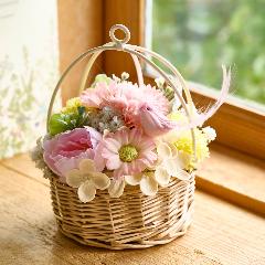 �\�[�v�t�����[�u�o�[�h�n�~���O�A�����W�s���N�n�v�y��̓��M�t�g�z