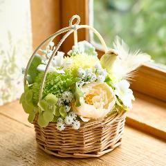 �\�[�v�t�����[�u�o�[�h�n�~���O�A�����W�C�G���[�n�v�y��̓��M�t�g�z