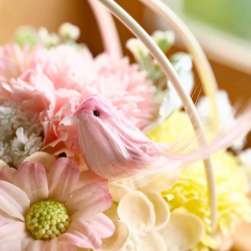 �\�[�v�t�����[�u�o�[�h�n�~���O�A�����W�s���N�n�v�y�x��Ă��߂�ˁI��̓��M�t�g�z2