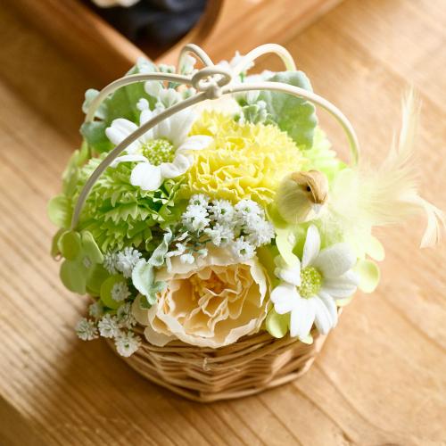 �\�[�v�t�����[�u�o�[�h�n�~���O�A�����W�C�G���[�n�v�y�x��Ă��߂�ˁI��̓��M�t�g�z3