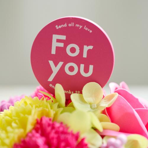 �}�O�\�[�v�t�����[�s���N�u�����ȍK���v�yEarly summer gift�z2