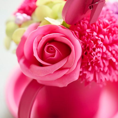 �}�O�\�[�v�t�����[�s���N�u�����ȍK���v�yEarly summer gift�z3