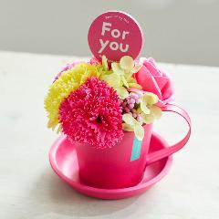 �}�O�\�[�v�t�����[�s���N�u�����ȍK���v�yEarly summer gift�z