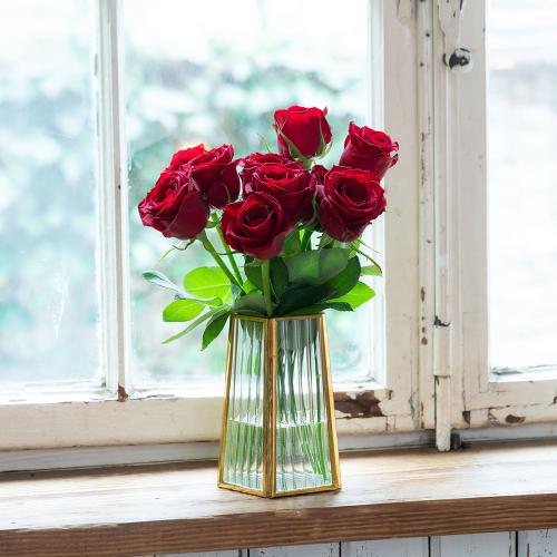 y12͂zYnoԑi20{jbhn3