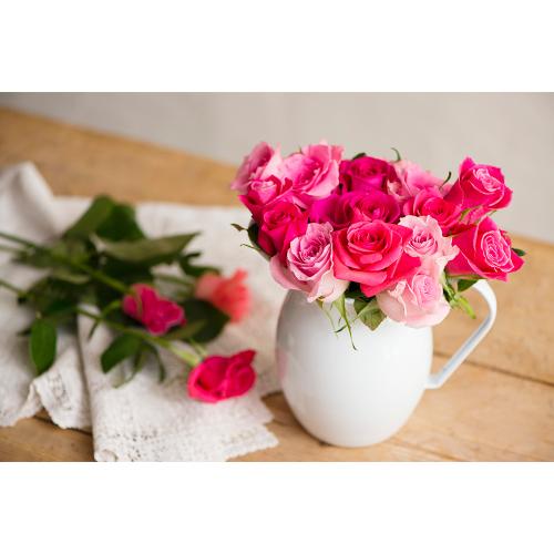 y12͂zYnoԑi40{jsNn3