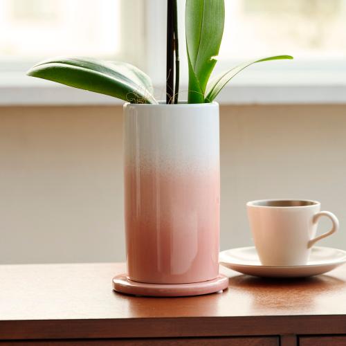 Blue Gene�i�u���[�W�[���j���픫����y��̓��M�t�g�z4