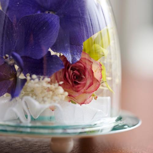 �y��̓��M�t�g�z�F�Ӓ����u���[�W�[���h���C�t�����[�A�����W�u�~���[�t���[���v3