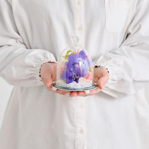 �y��̓��M�t�g�z�F�Ӓ����u���[�W�[���h���C�t�����[�A�����W�u�~���[�t���[���v4