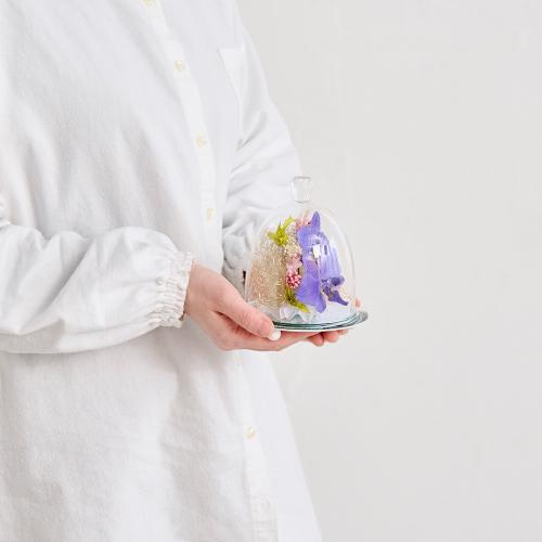 �y��̓��M�t�g�z�F�Ӓ����u���[�W�[���h���C�t�����[�A�����W�u�~���[�t���[���v5