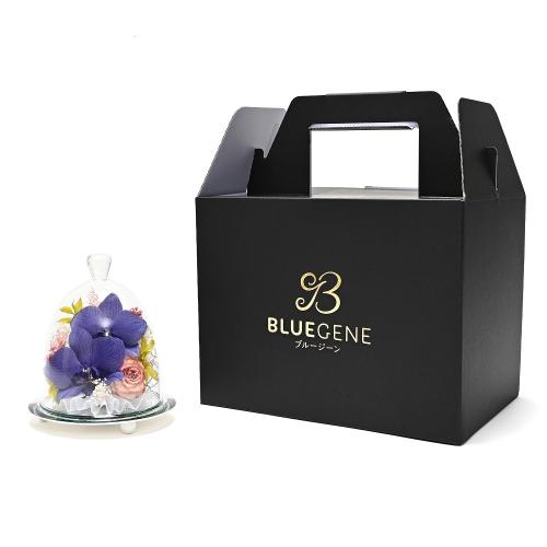 �y��̓��M�t�g�z�F�Ӓ����u���[�W�[���h���C�t�����[�A�����W�u�~���[�t���[���v6