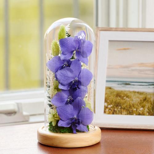 �y��̓��M�t�g�z�F�Ӓ����u���[�W�[���h���C�t�����[�A�����W�u�h�[���t���[���v