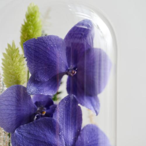 �y��̓��M�t�g�z�F�Ӓ����u���[�W�[���h���C�t�����[�A�����W�u�h�[���t���[���v3