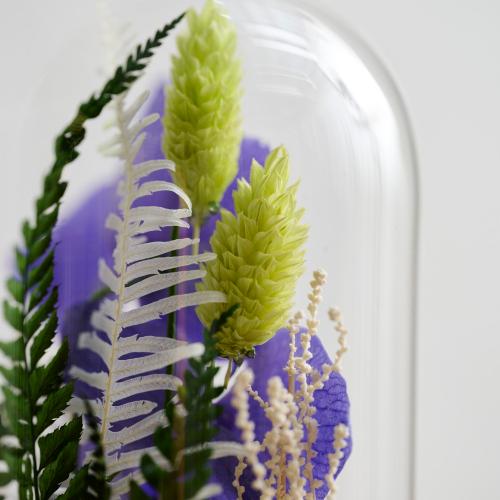 �y��̓��M�t�g�z�F�Ӓ����u���[�W�[���h���C�t�����[�A�����W�u�h�[���t���[���v4