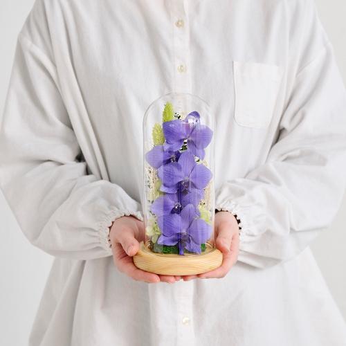 �y��̓��M�t�g�z�F�Ӓ����u���[�W�[���h���C�t�����[�A�����W�u�h�[���t���[���v5