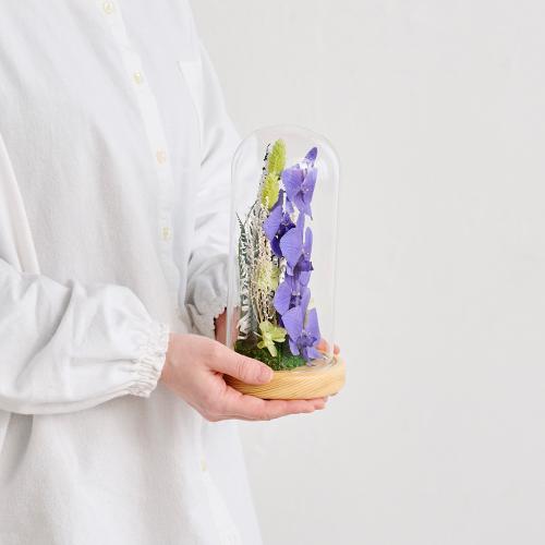 �y��̓��M�t�g�z�F�Ӓ����u���[�W�[���h���C�t�����[�A�����W�u�h�[���t���[���v6