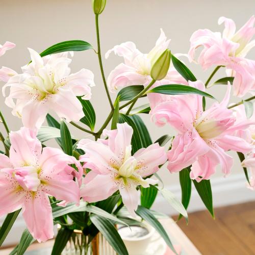 遅れてごめんね！母の日ギフト】八重咲リリーの花束」| 花屋「フジ