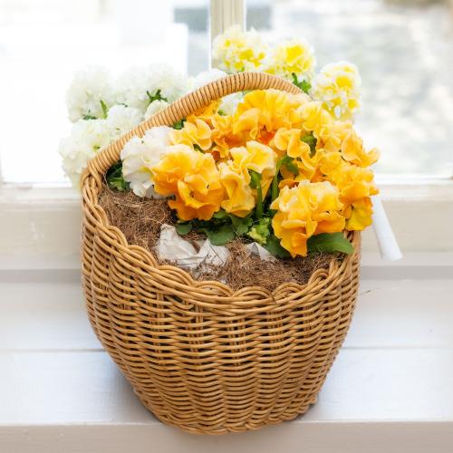 �K���e���Ó�u�V���K�[�{���{���i�z���C�g���C�G���[�n�j�v�n���h���o�X�P�b�g����2