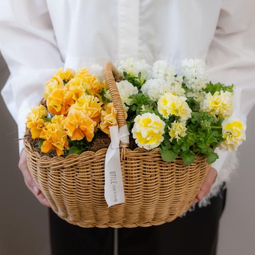 �K���e���Ó�u�V���K�[�{���{���i�z���C�g���C�G���[�n�j�v�n���h���o�X�P�b�g����6