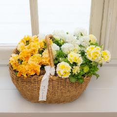 �K���e���Ó�u�V���K�[�{���{���i�z���C�g���C�G���[�n�j�v�n���h���o�X�P�b�g����