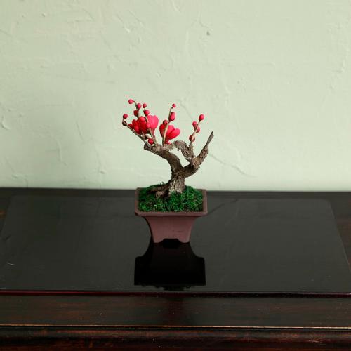 �N���t�g�~�́u�~�v6