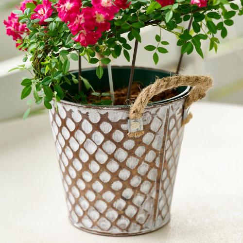 �yGW���͂��z��o���̃u���L���A���u �n�[�g�����O�v�y��̓��M�t�g�z3