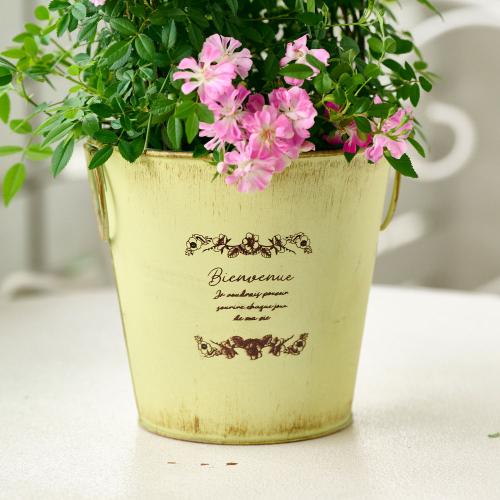 �yGW���͂��z��o���u�o���[���^�g�����X�v�C�G���[�n�y��̓��M�t�g�z4